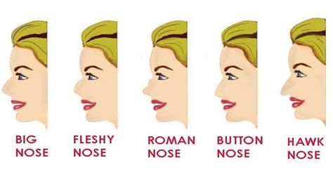 nose shaper results|Nose Shaping Types: End.
